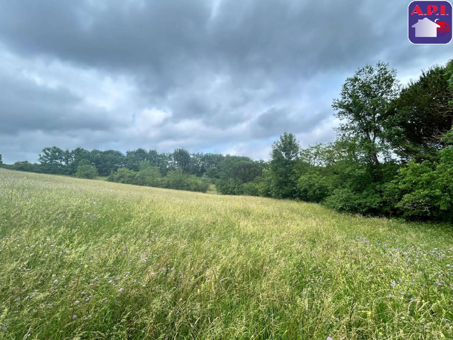  te koop huis Chalabre Aude 3