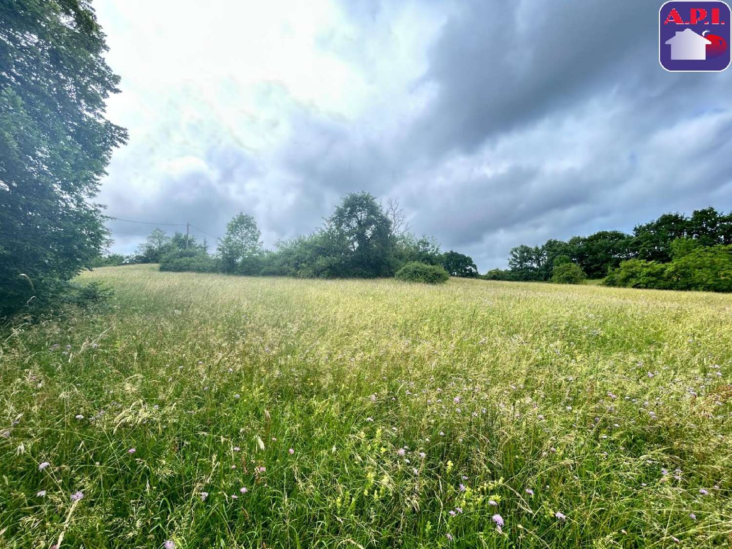  te koop huis Chalabre Aude 4