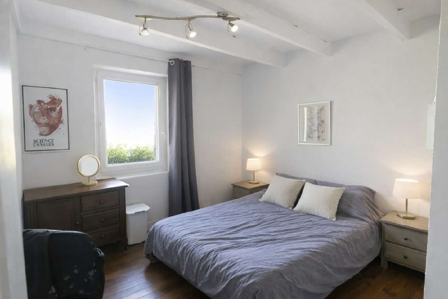  à vendre maison Charancieu Isère 7