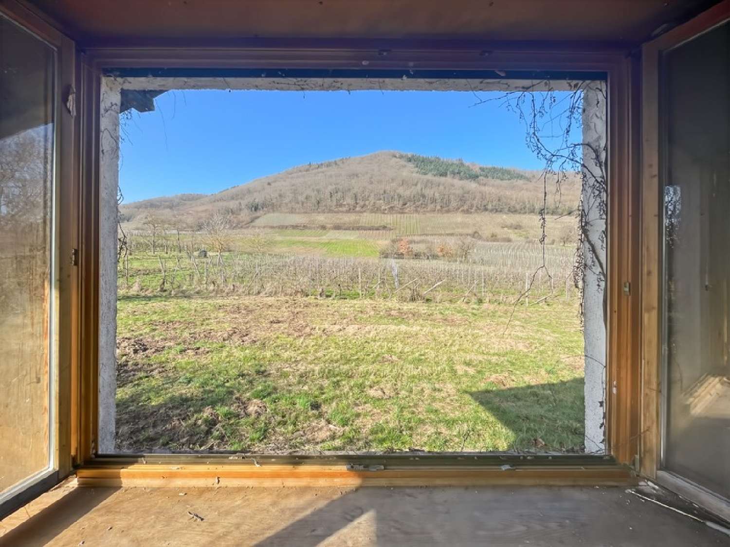  for sale house Châtenois Bas-Rhin 5