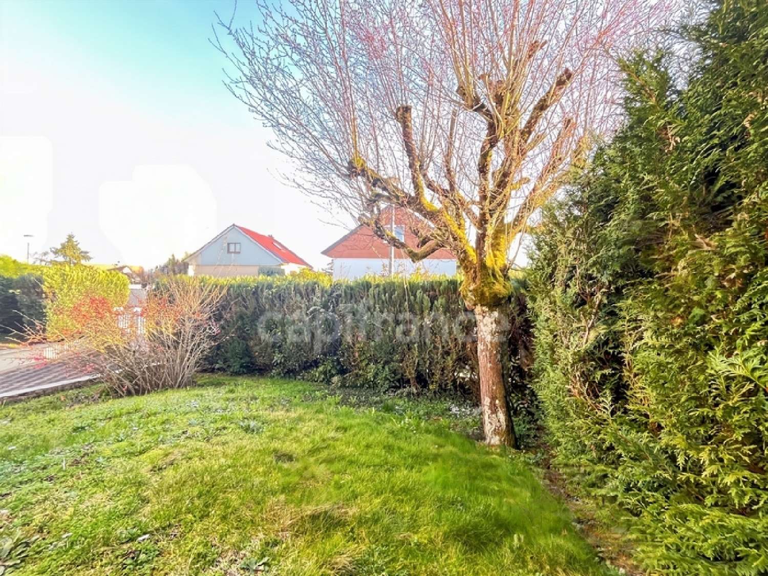 kaufen Haus Chevigny-Saint-Sauveur Côte-d'Or 4