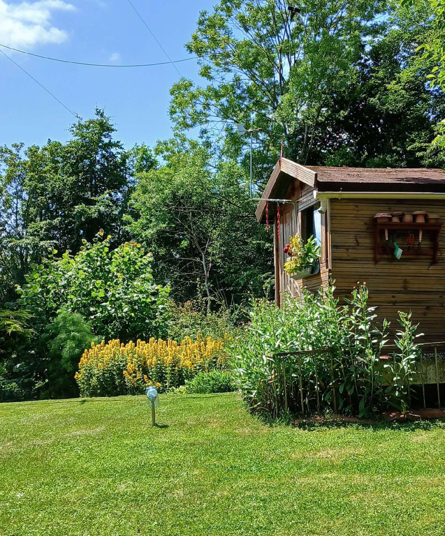kaufen Haus Chigny Aisne 4
