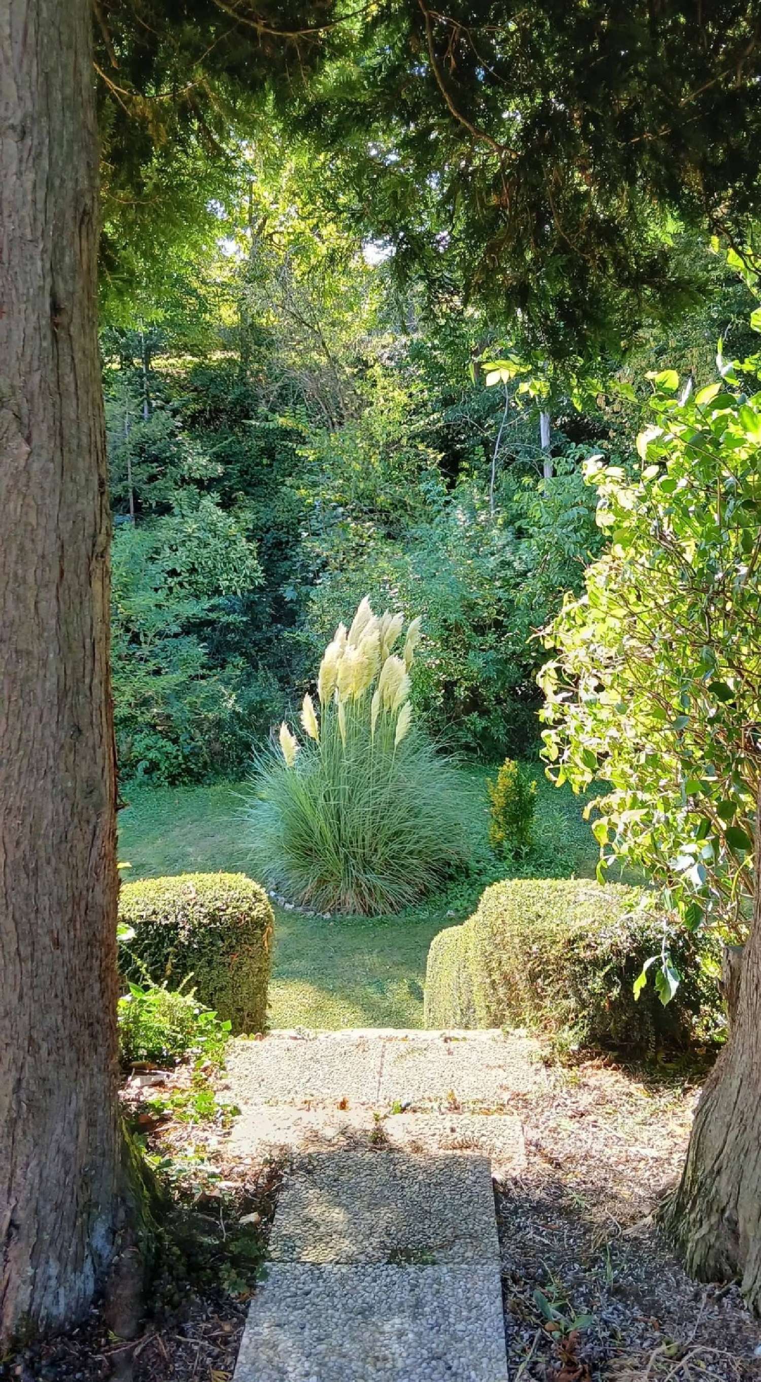 kaufen Haus Chigny Aisne 5
