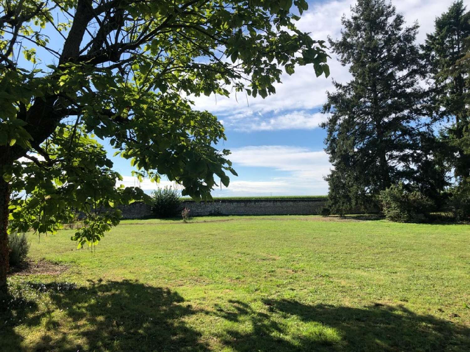  à vendre maison Chinon Indre-et-Loire 2