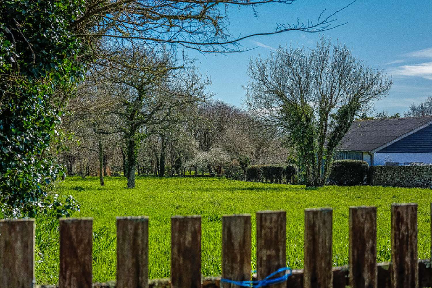kaufen Haus Cléden-Cap-Sizun Finistère 7