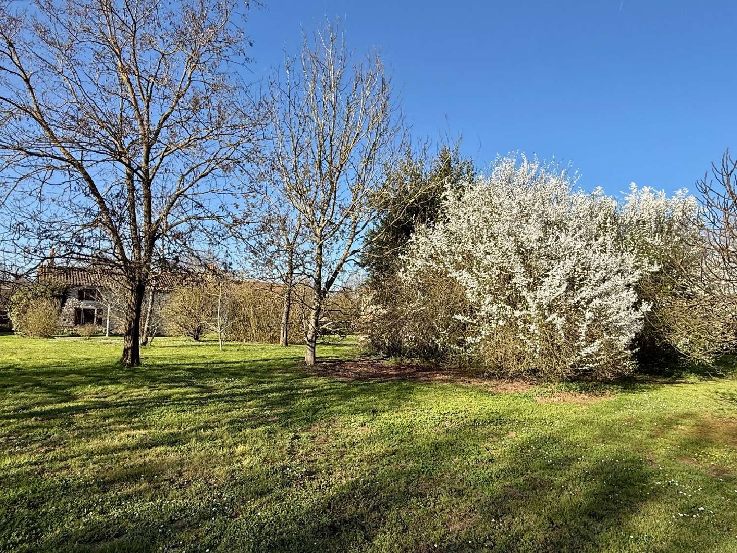  kaufen Haus Clussais-la-Pommeraie Deux-Sèvres 3