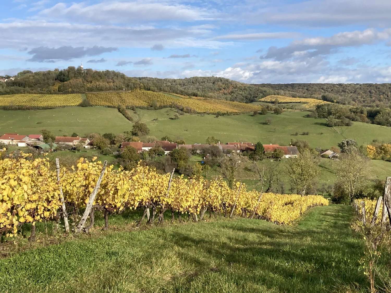 à vendre maison Coiffy-le-Haut Haute-Marne 4