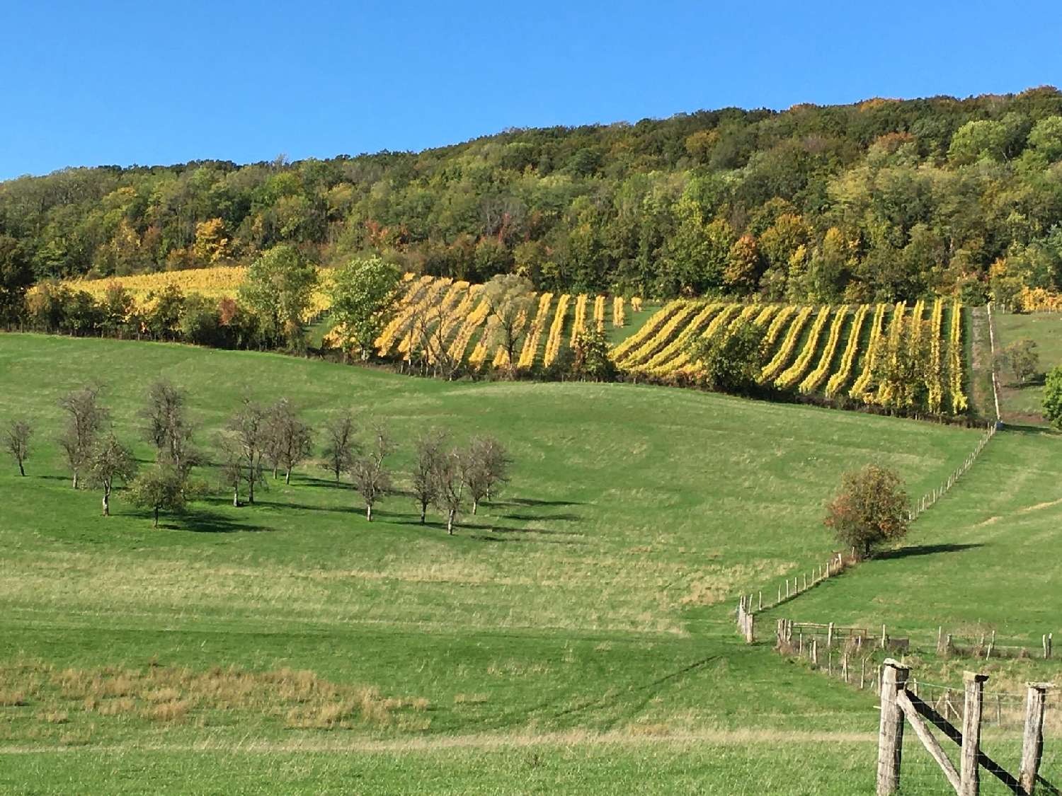 à vendre maison Coiffy-le-Haut Haute-Marne 7