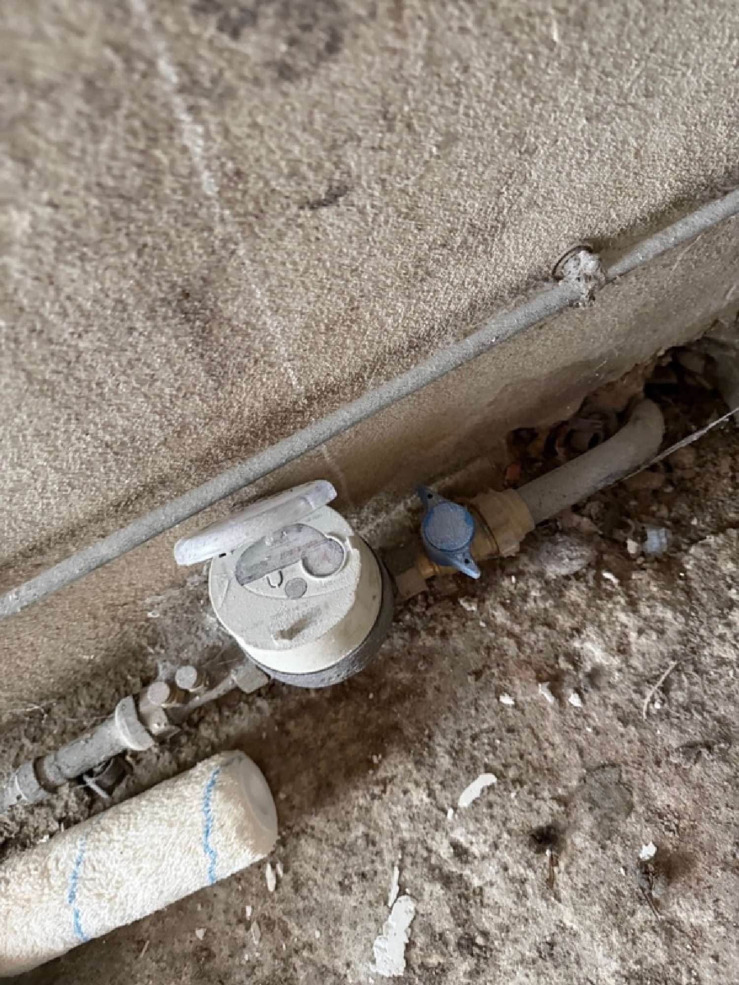  kaufen Haus Collorec Finistère 8