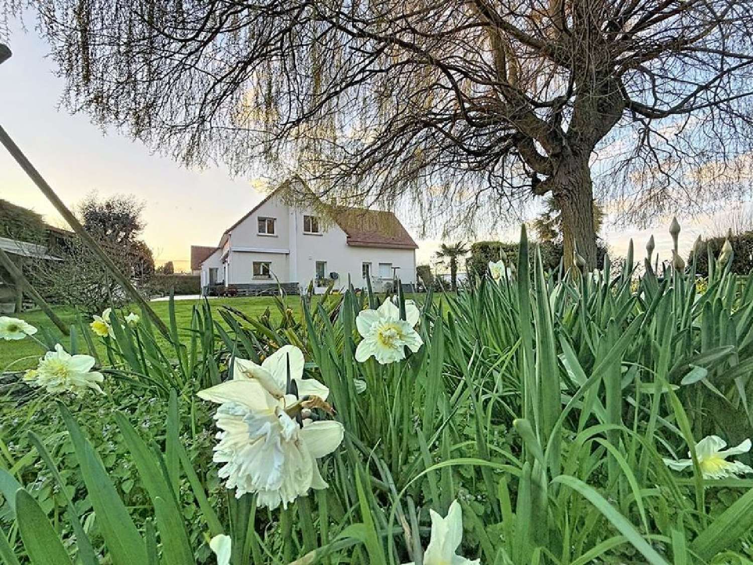  à vendre maison Colomby-sur-Thaon Calvados 1