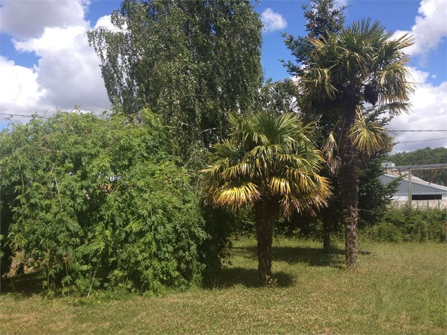  te koop huis Corpe Vendée 2