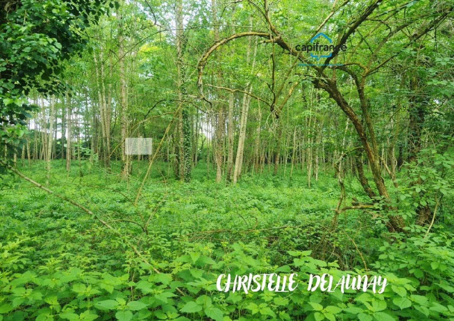  kaufen Haus Craon Mayenne 4