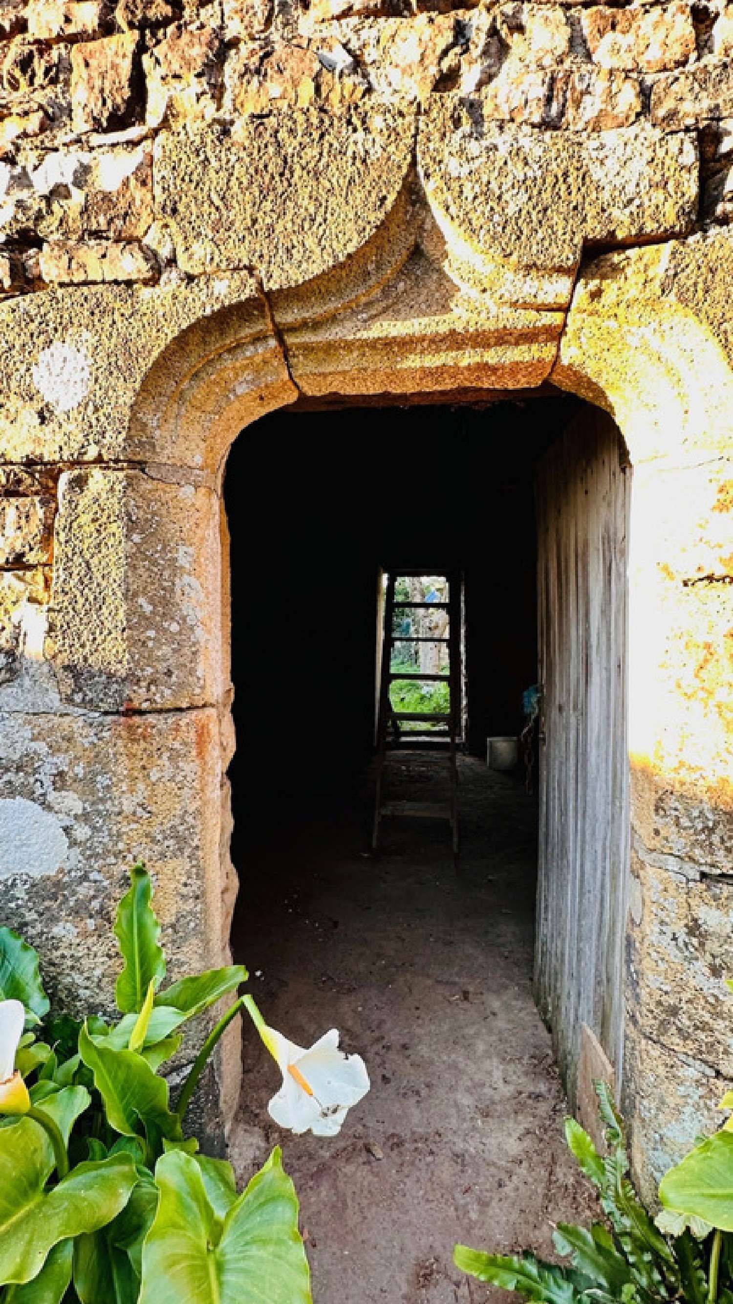 te koop huis Crozon Finistère 3