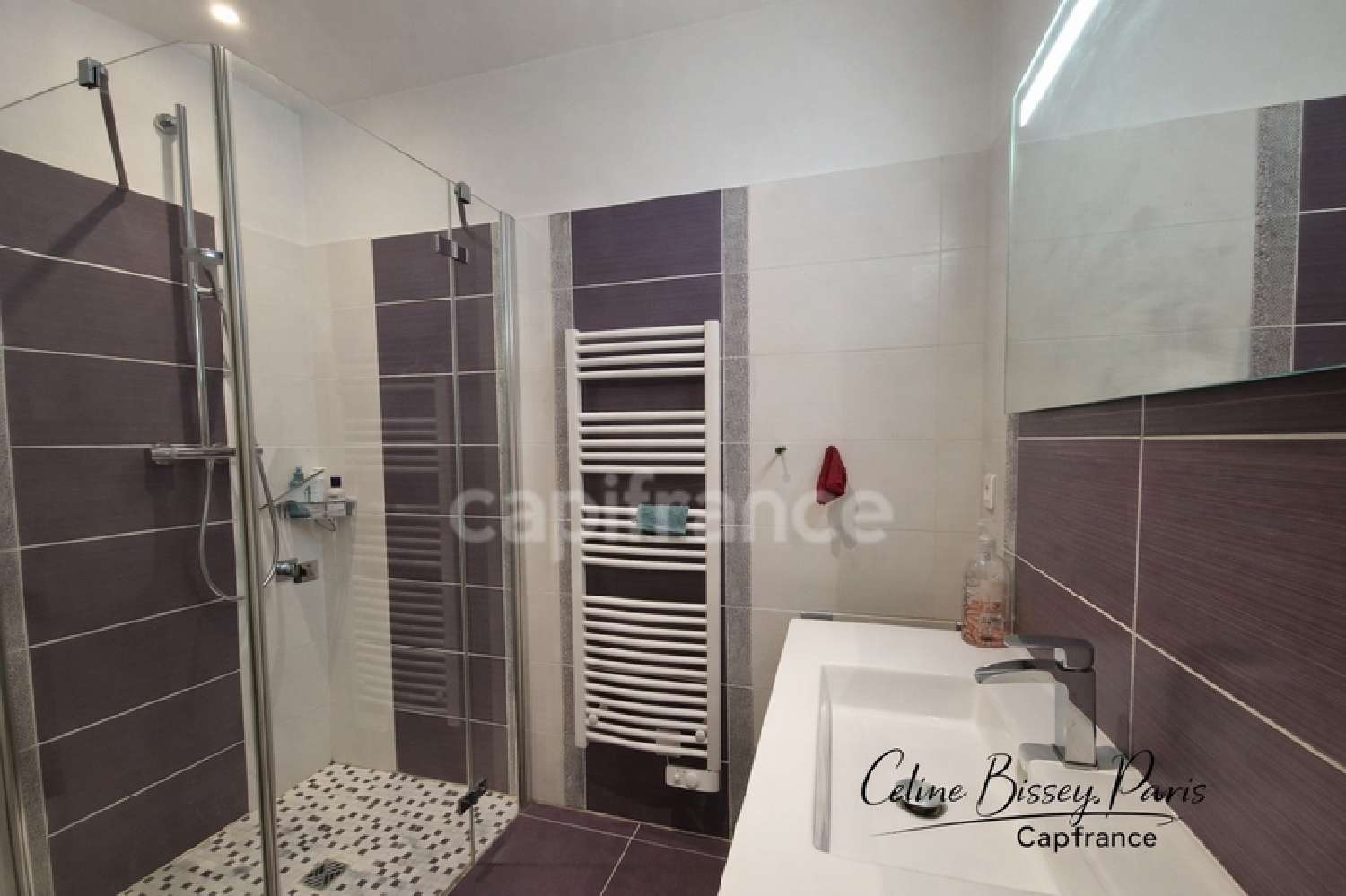  for sale house Cruzy-le-Châtel Yonne 7