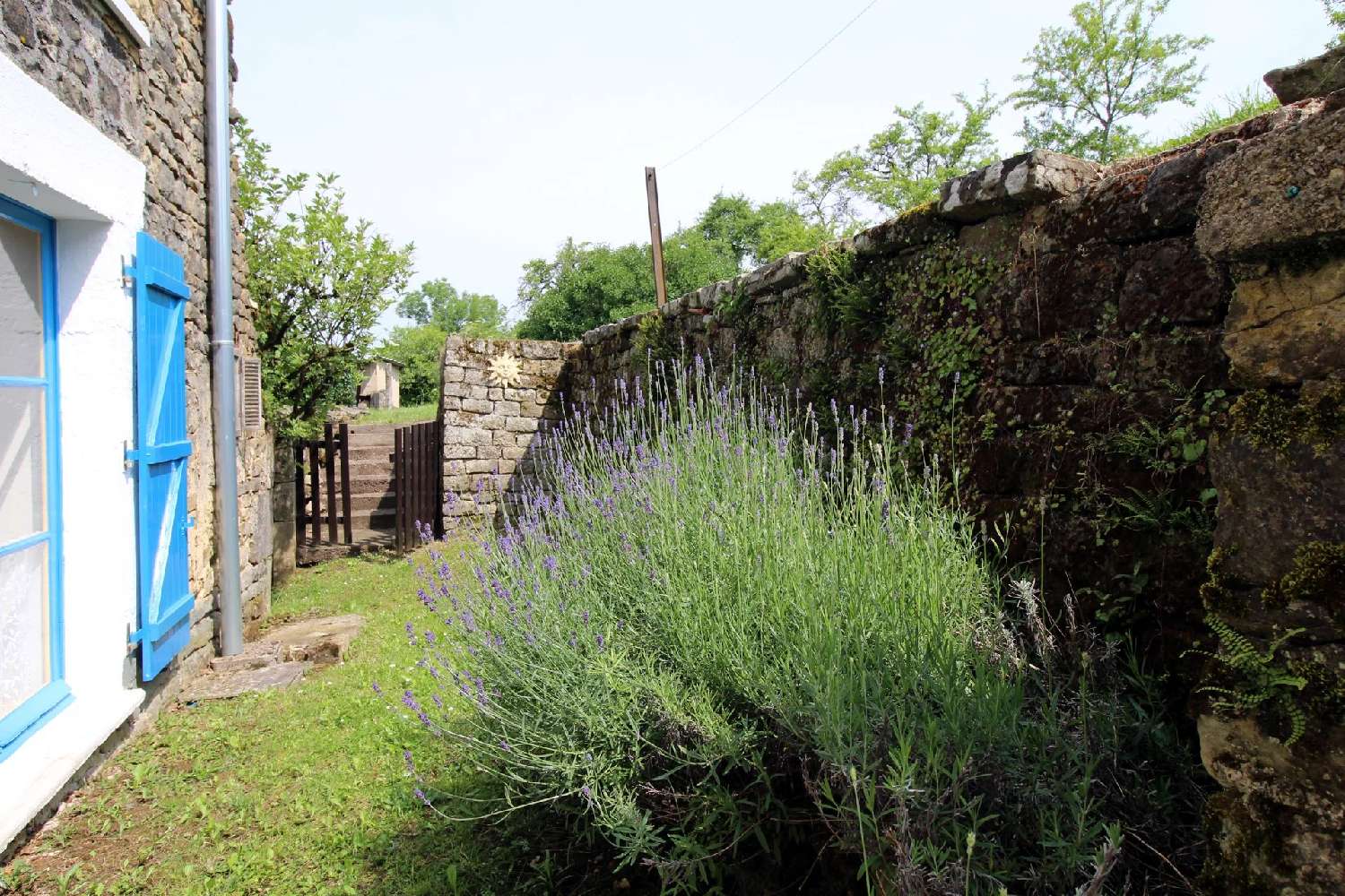  à vendre maison Damrémont Haute-Marne 7