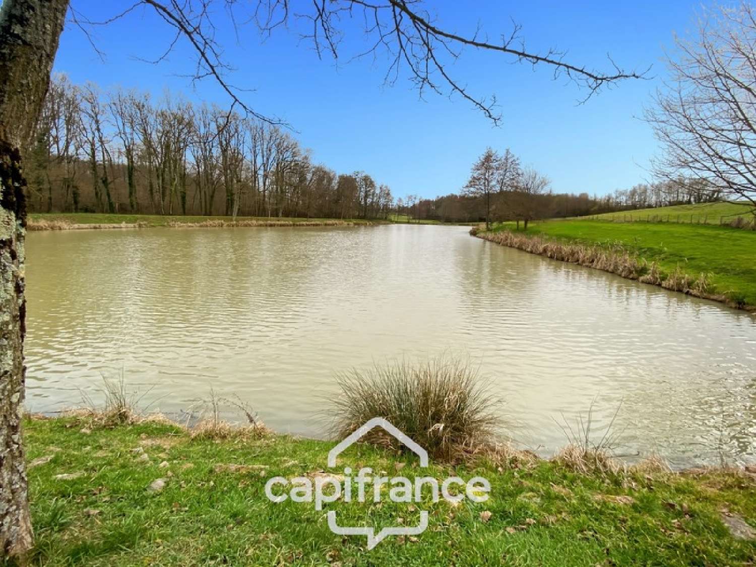 for sale house Dommartin-lès-Cuiseaux Saône-et-Loire 1