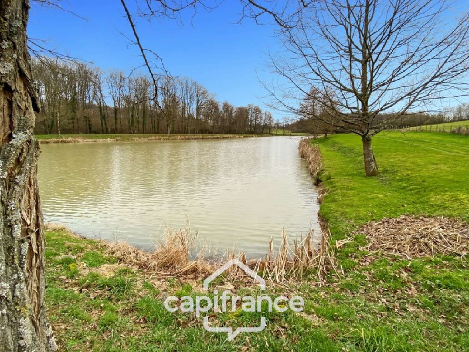 for sale house Dommartin-lès-Cuiseaux Saône-et-Loire 2