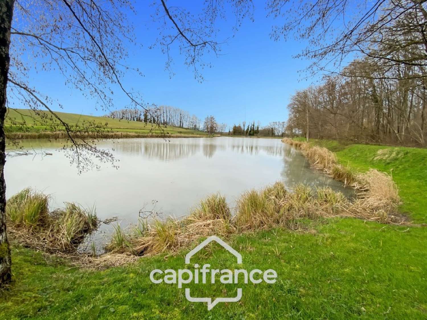 for sale house Dommartin-lès-Cuiseaux Saône-et-Loire 3