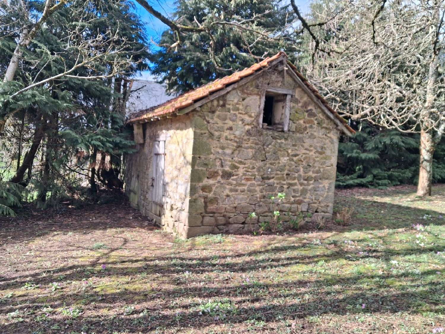  à vendre maison Domps Haute-Vienne 3