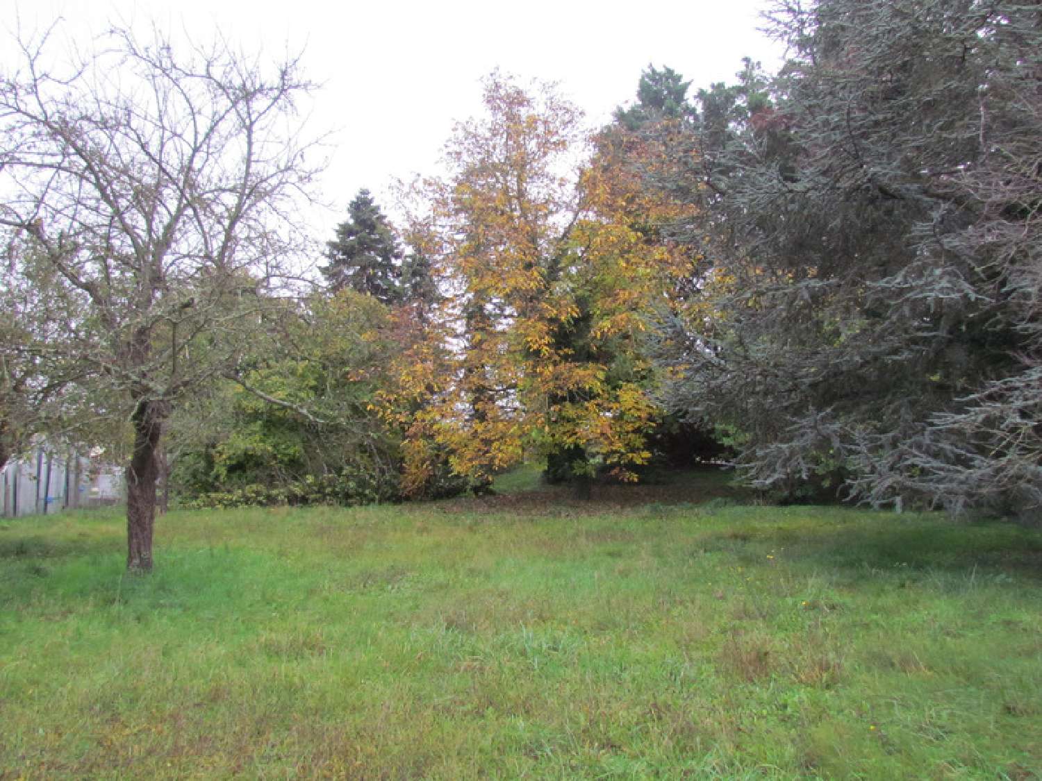  for sale house Dorlisheim Bas-Rhin 3