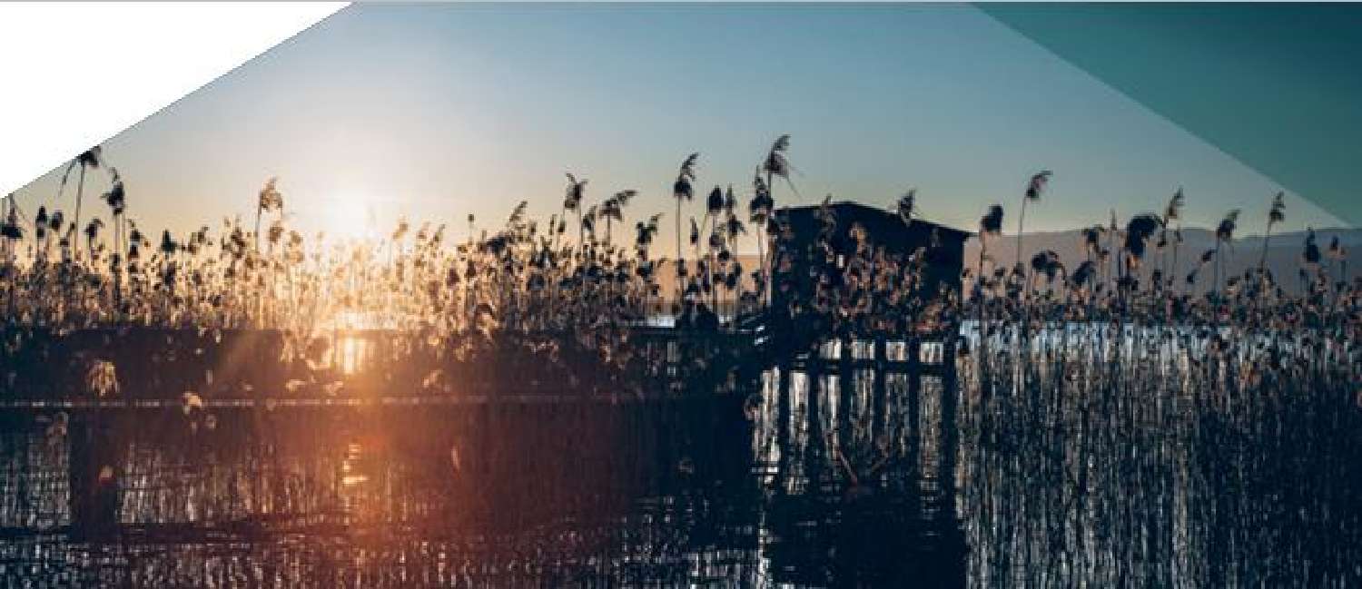  kaufen Haus Douvaine Haute-Savoie 3