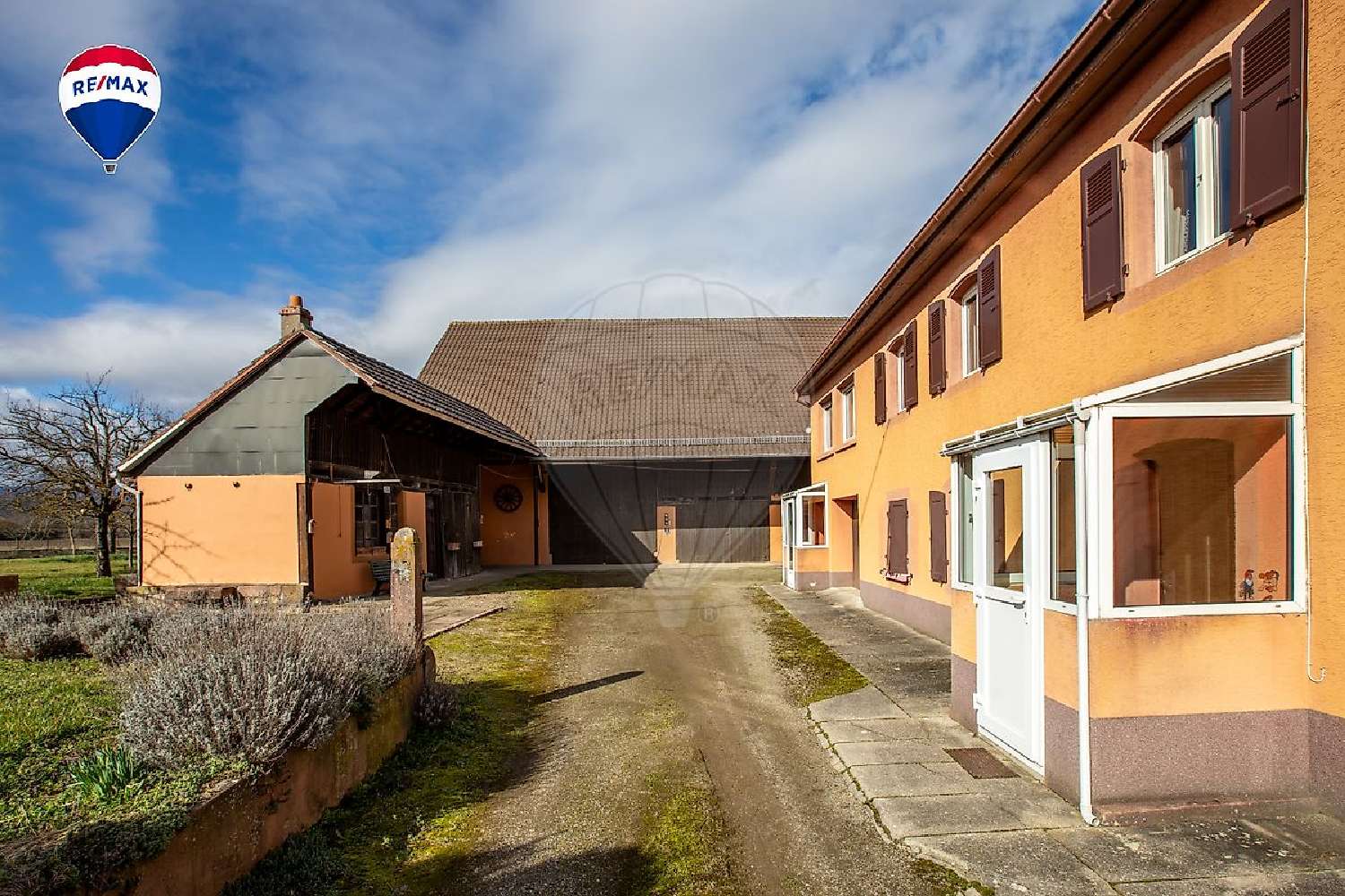  à vendre maison Feldkirch Haut-Rhin 2