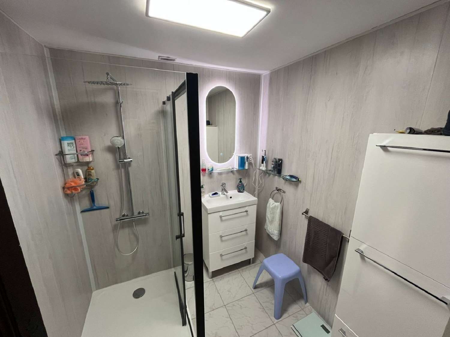  for sale house Ferrières-Saint-Mary Cantal 3