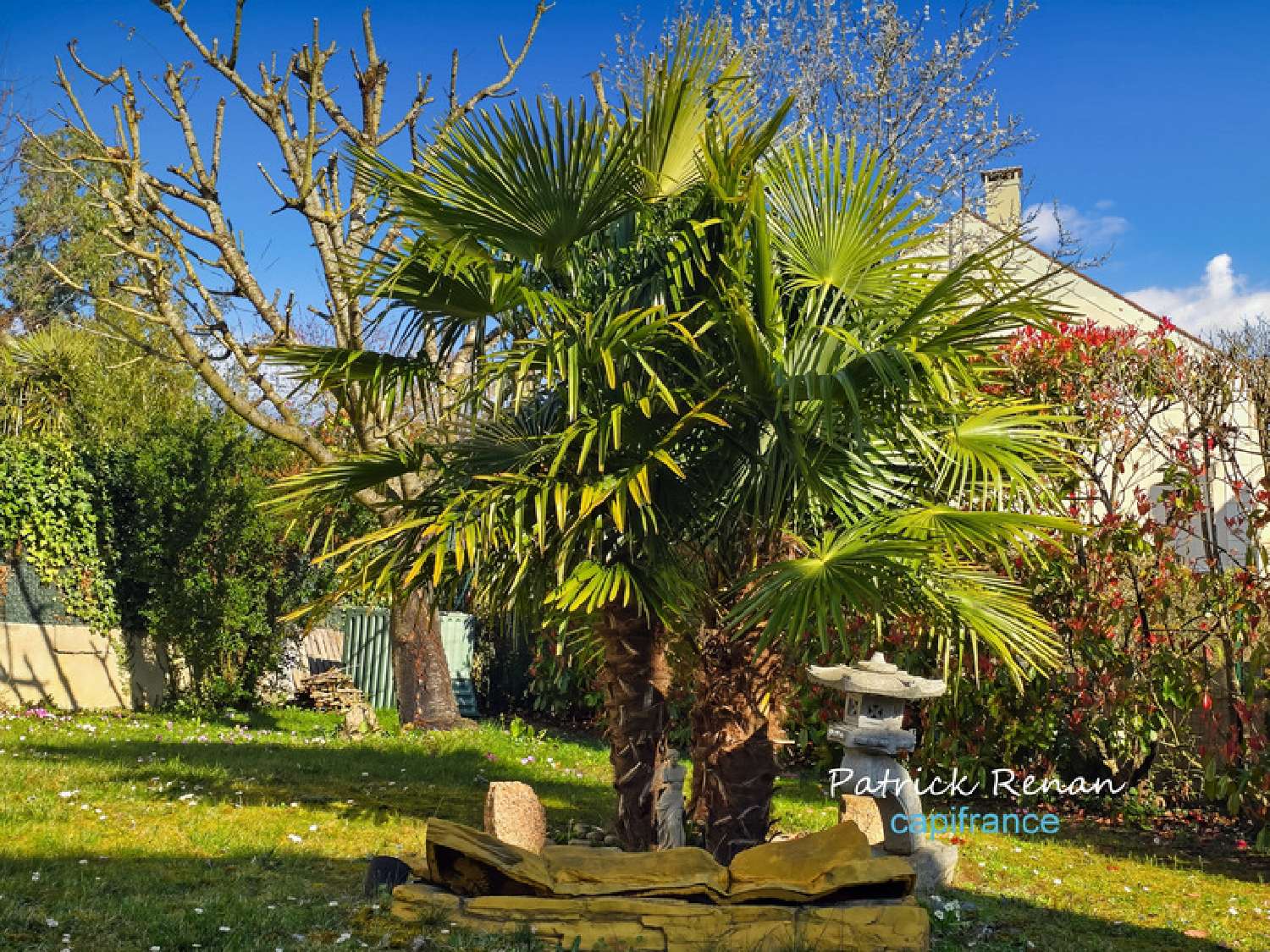 for sale house Fontenay-le-Fleury Yvelines 5