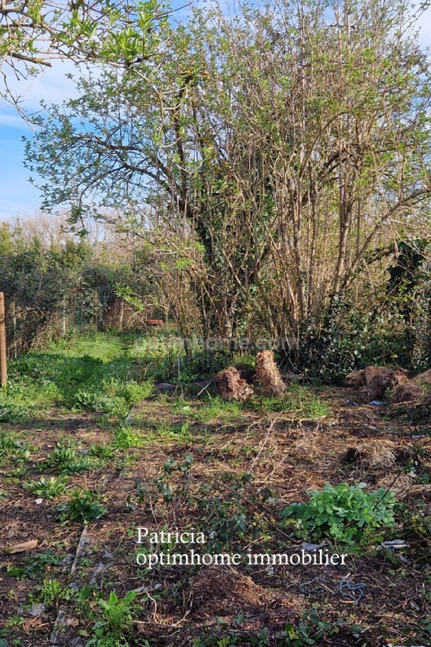  te koop huis Fontet Gironde 6