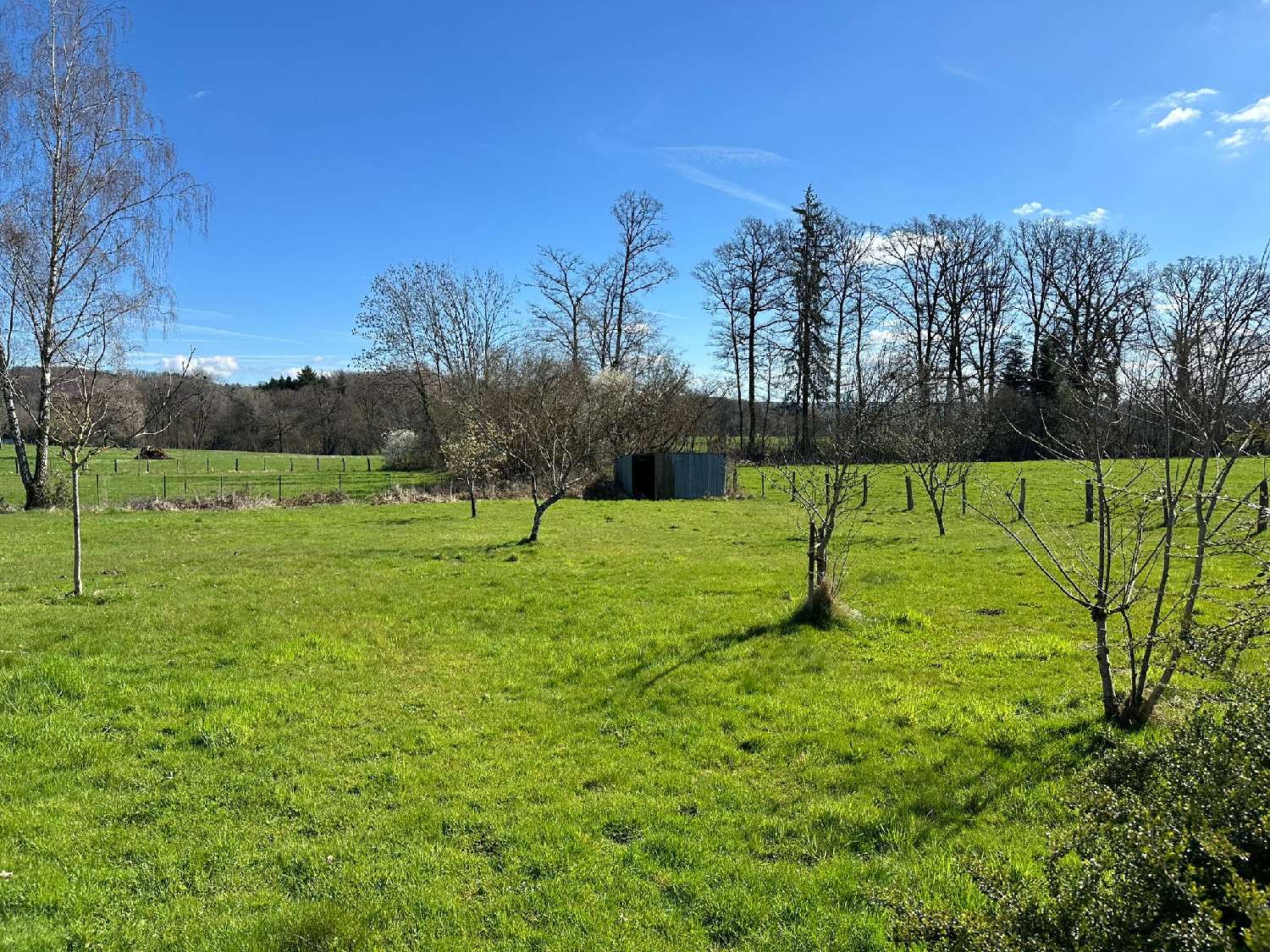 for sale house Fougerolles Haute-Saône 3