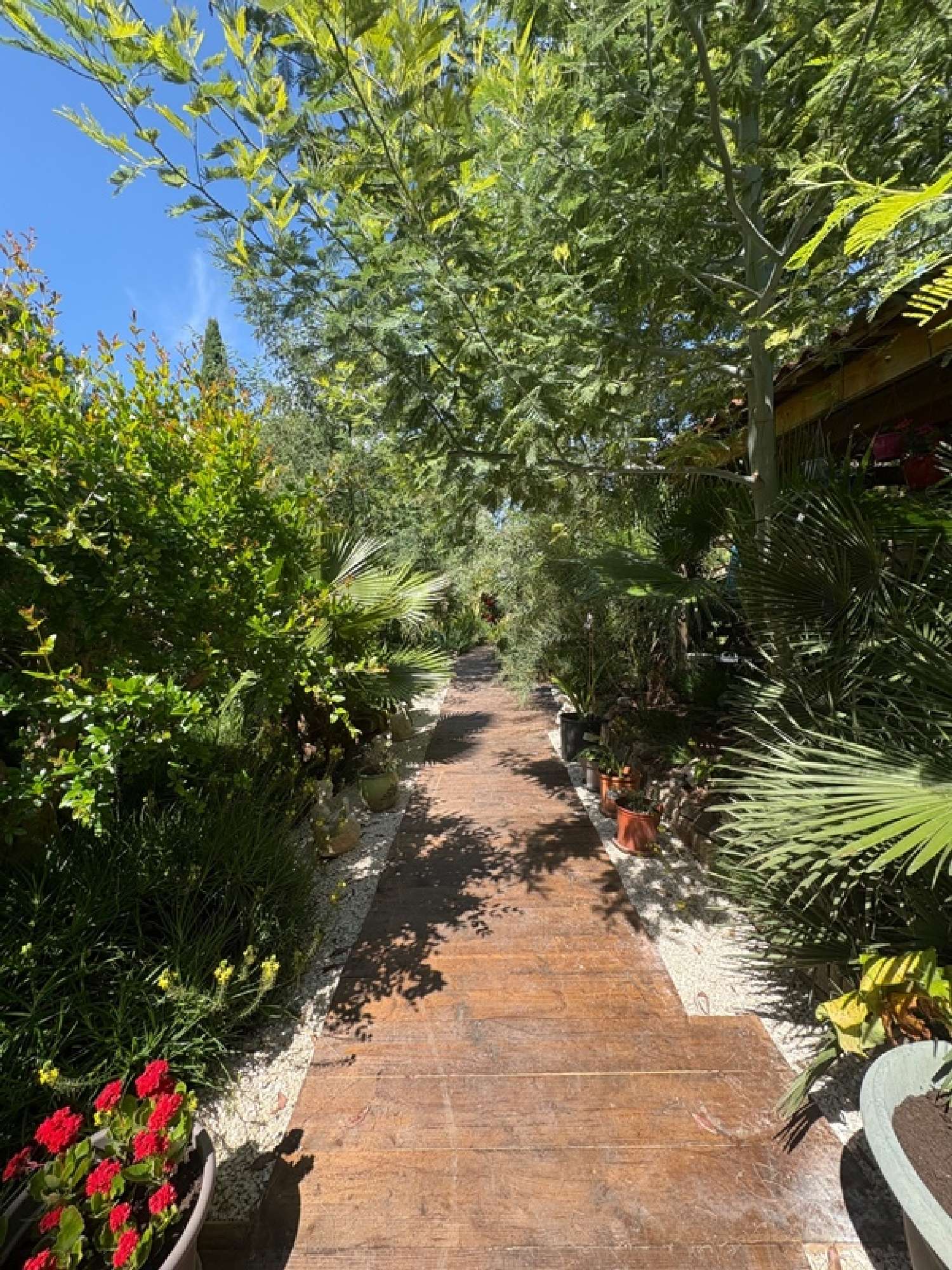 à vendre maison Fréjus Var 4