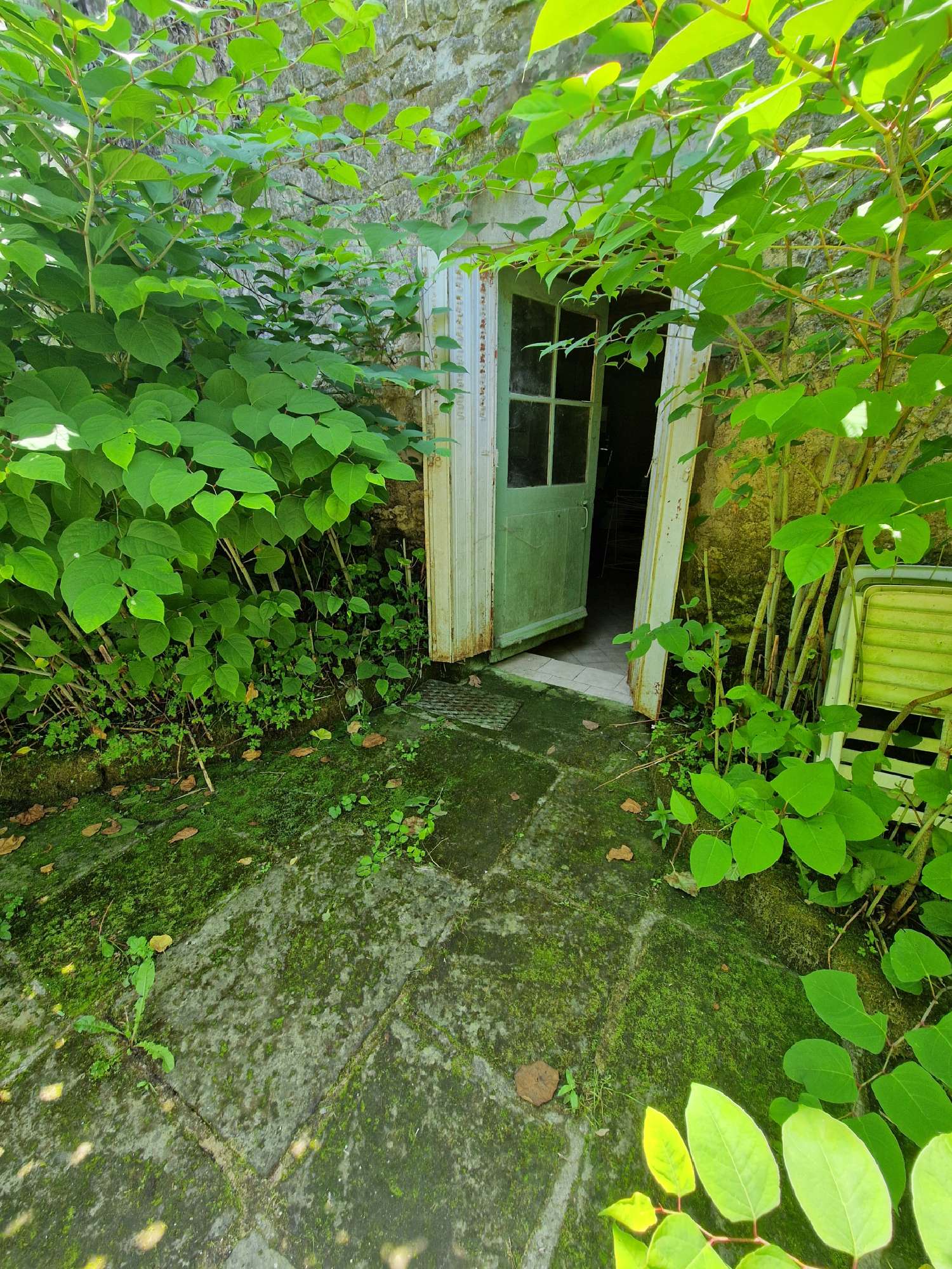  à vendre maison Fresnes-sur-Apance Haute-Marne 4