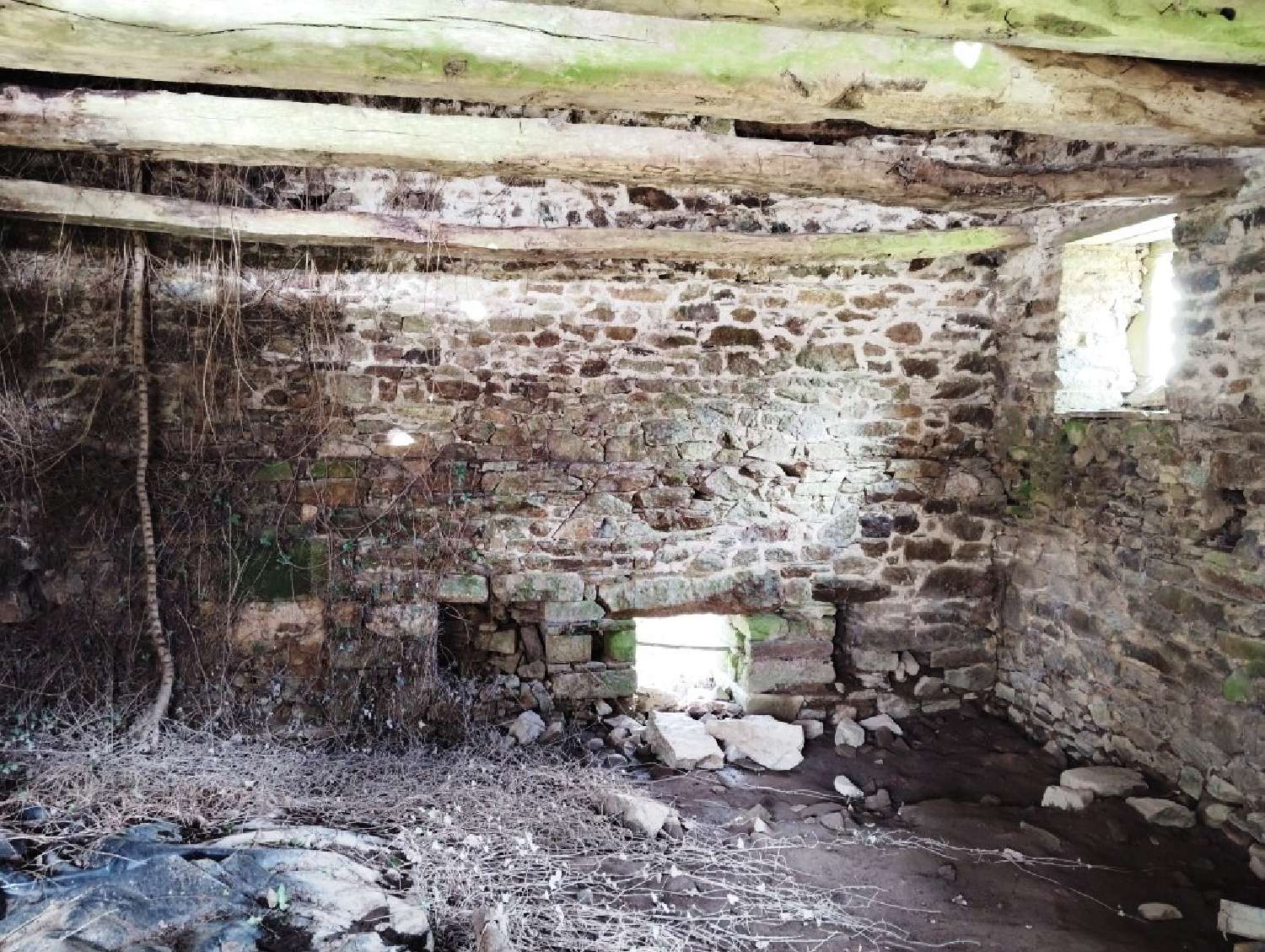  for sale house Gausson Côtes-d'Armor 8