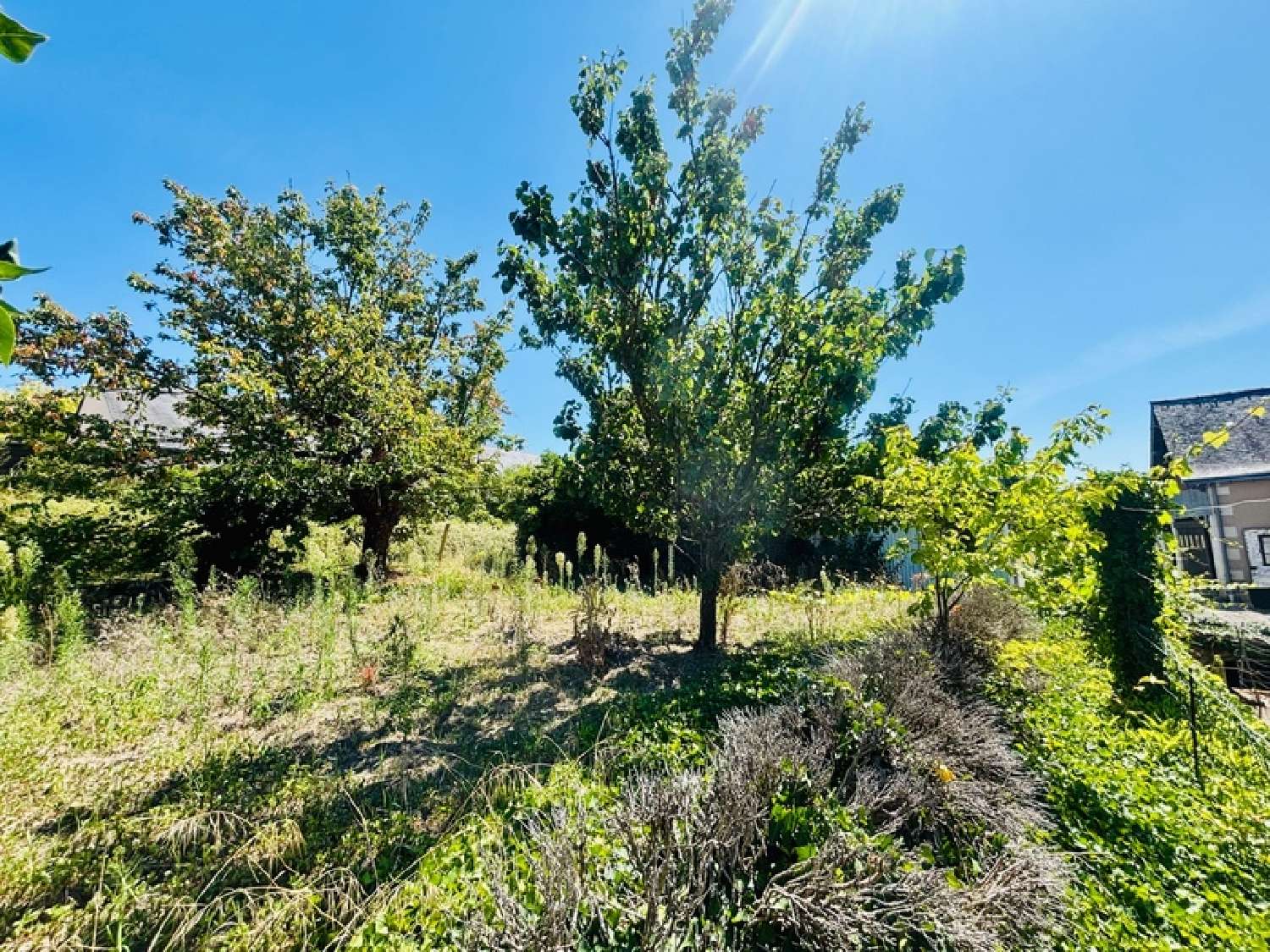  te koop huis Gée Maine-et-Loire 4