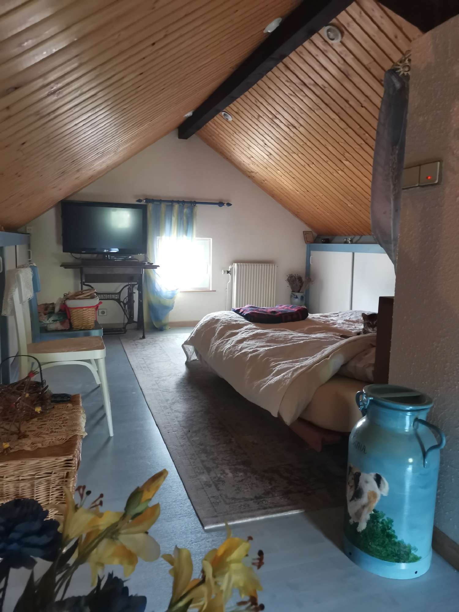  te koop huis Gérardmer Vogezen 8