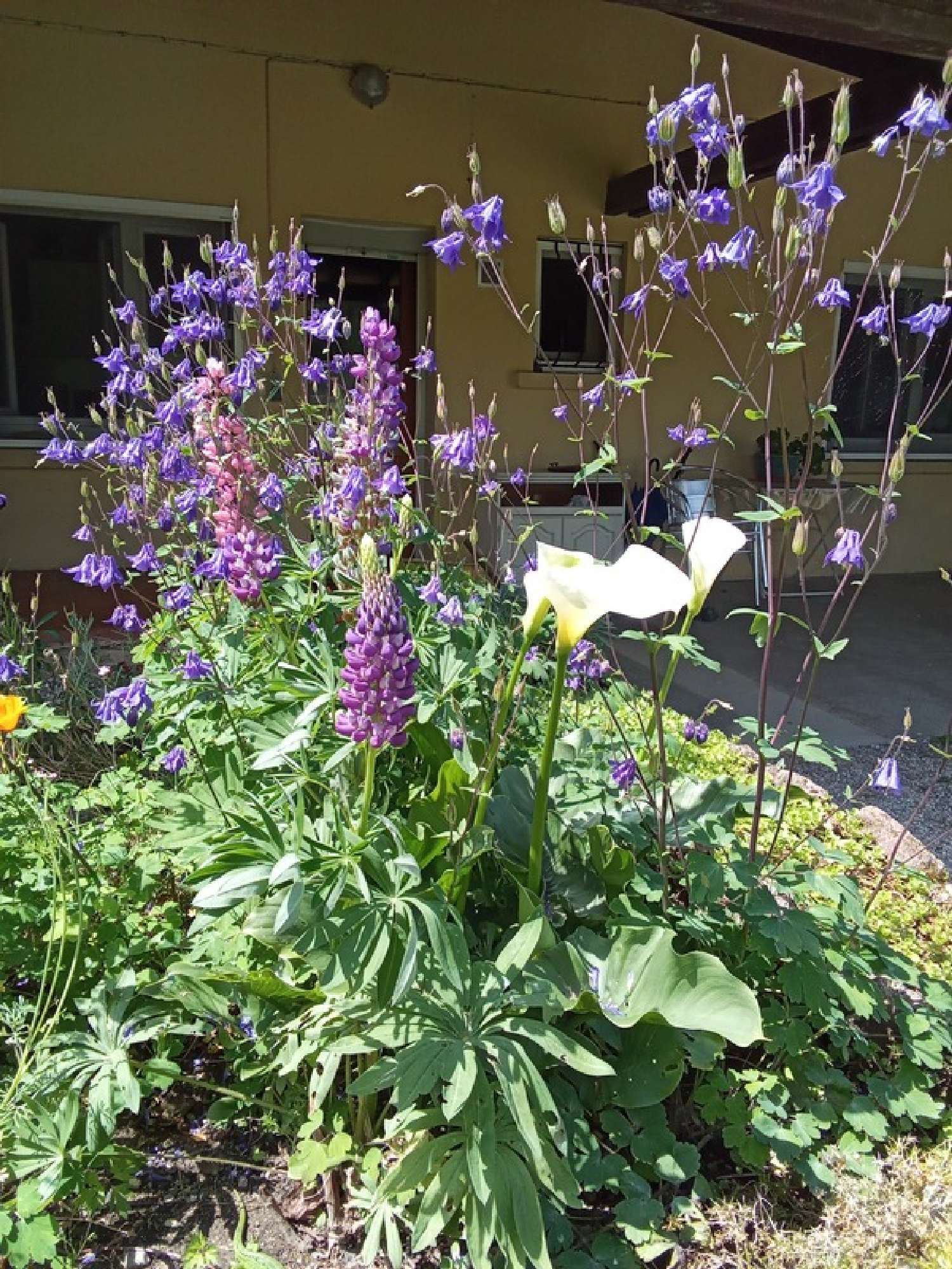  for sale house Gilly-sur-Loire Saône-et-Loire 3