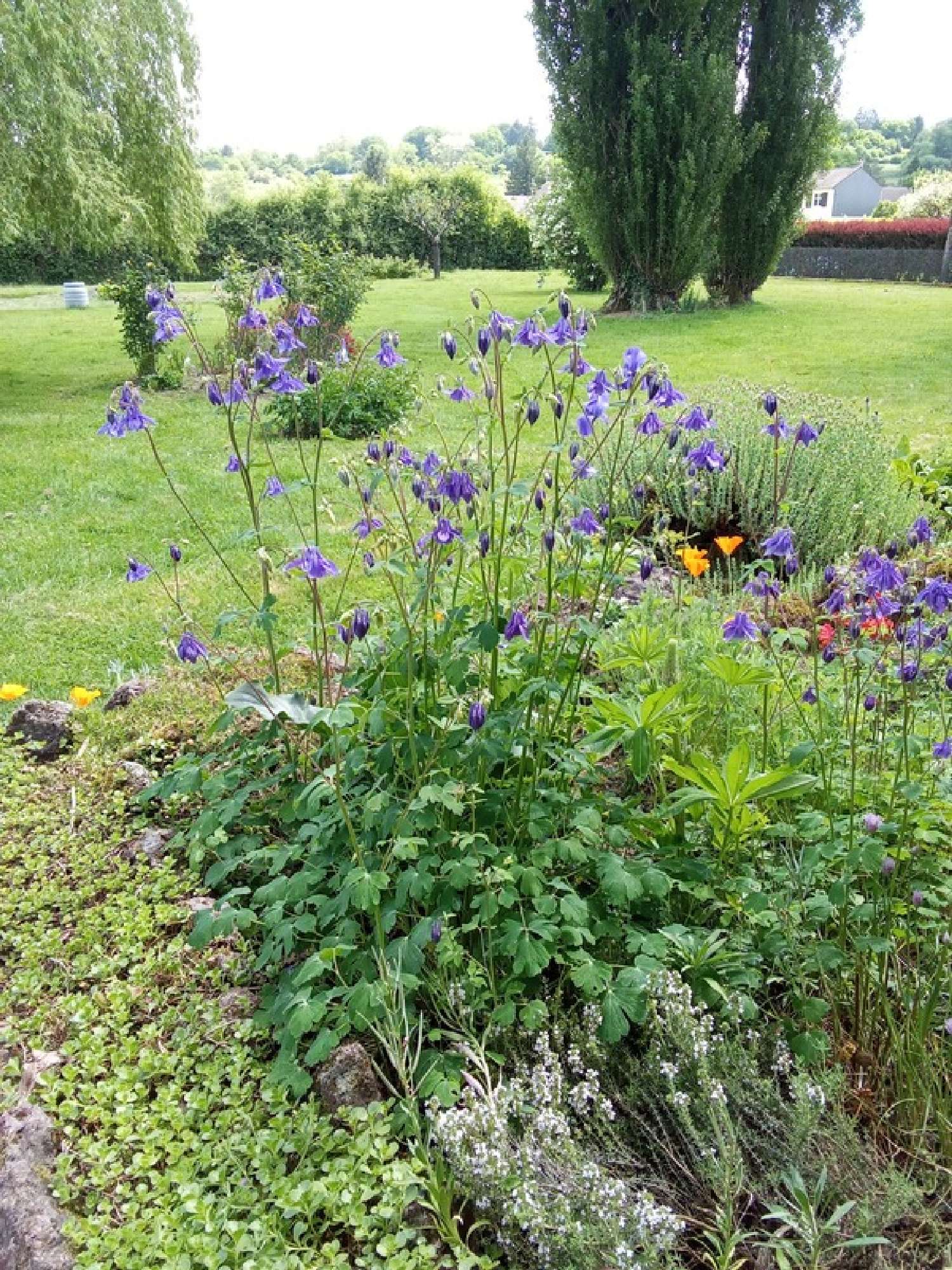  for sale house Gilly-sur-Loire Saône-et-Loire 6