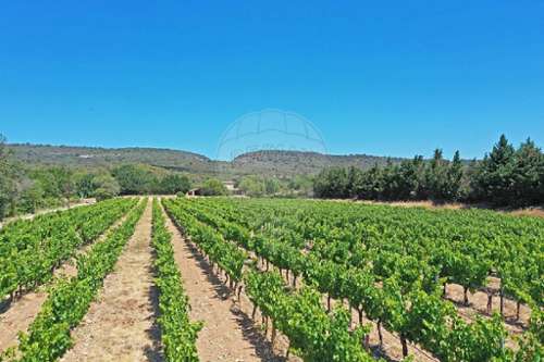 Gordes Vaucluse Haus Bild 7287217