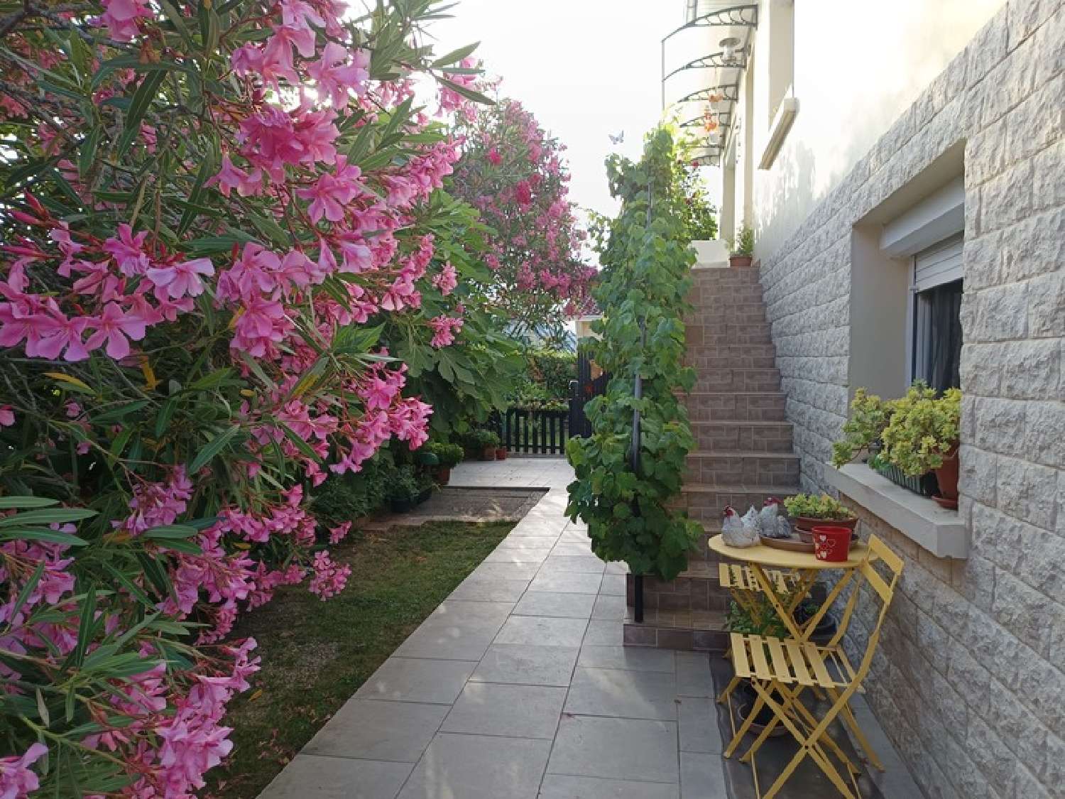 te koop huis Grenade-sur-l'Adour Landes 1