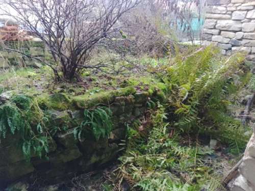 Gripport Meurthe-et-Moselle maison foto 7282001