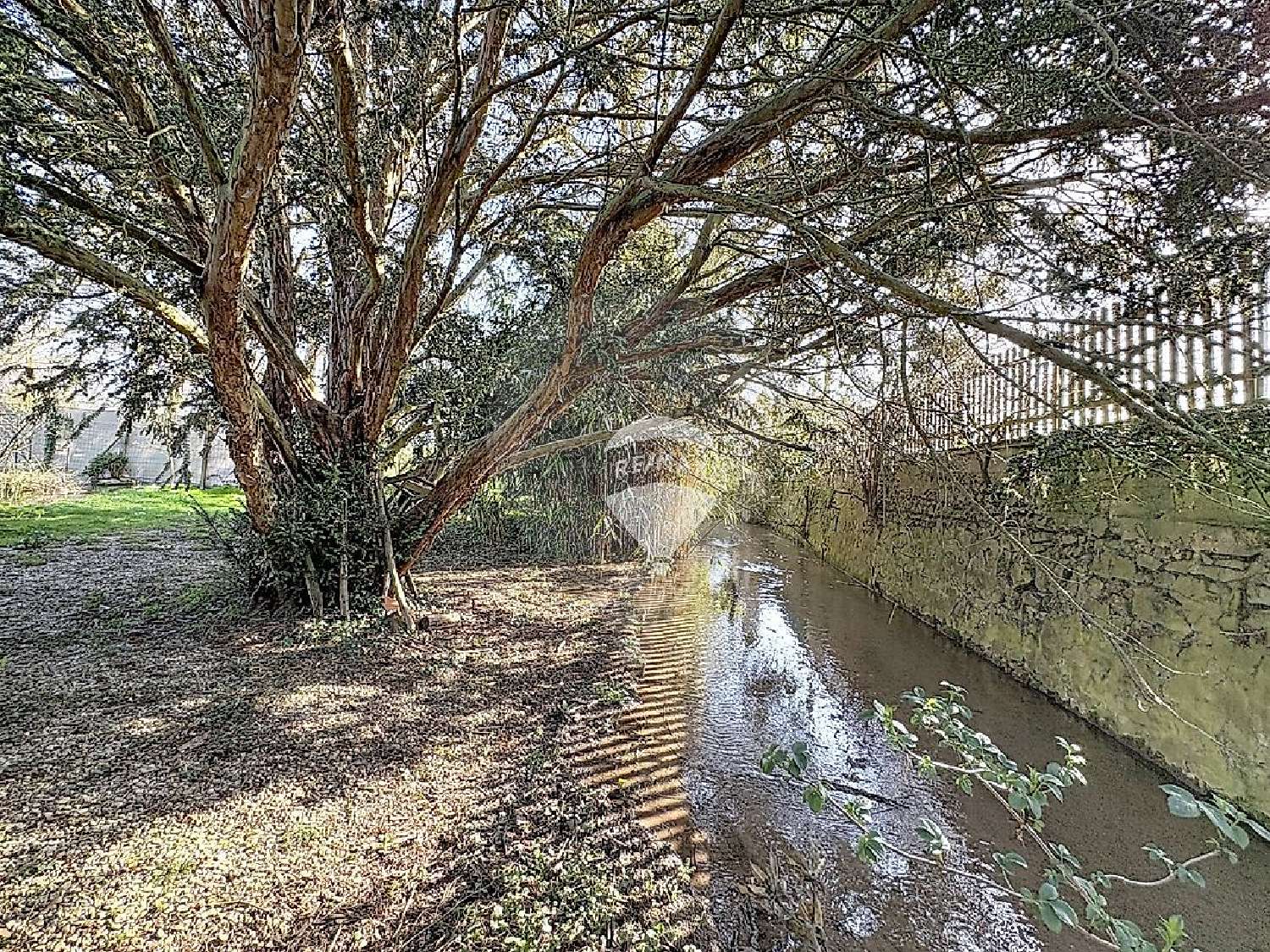  en venta casa Gron Yonne 4