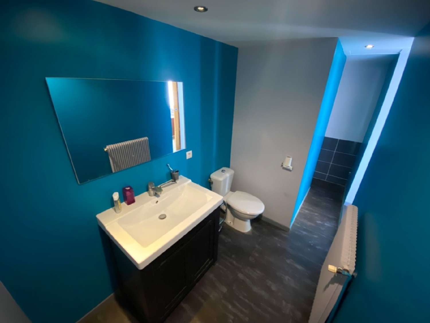 à vendre maison Gueugnon Saône-et-Loire 7