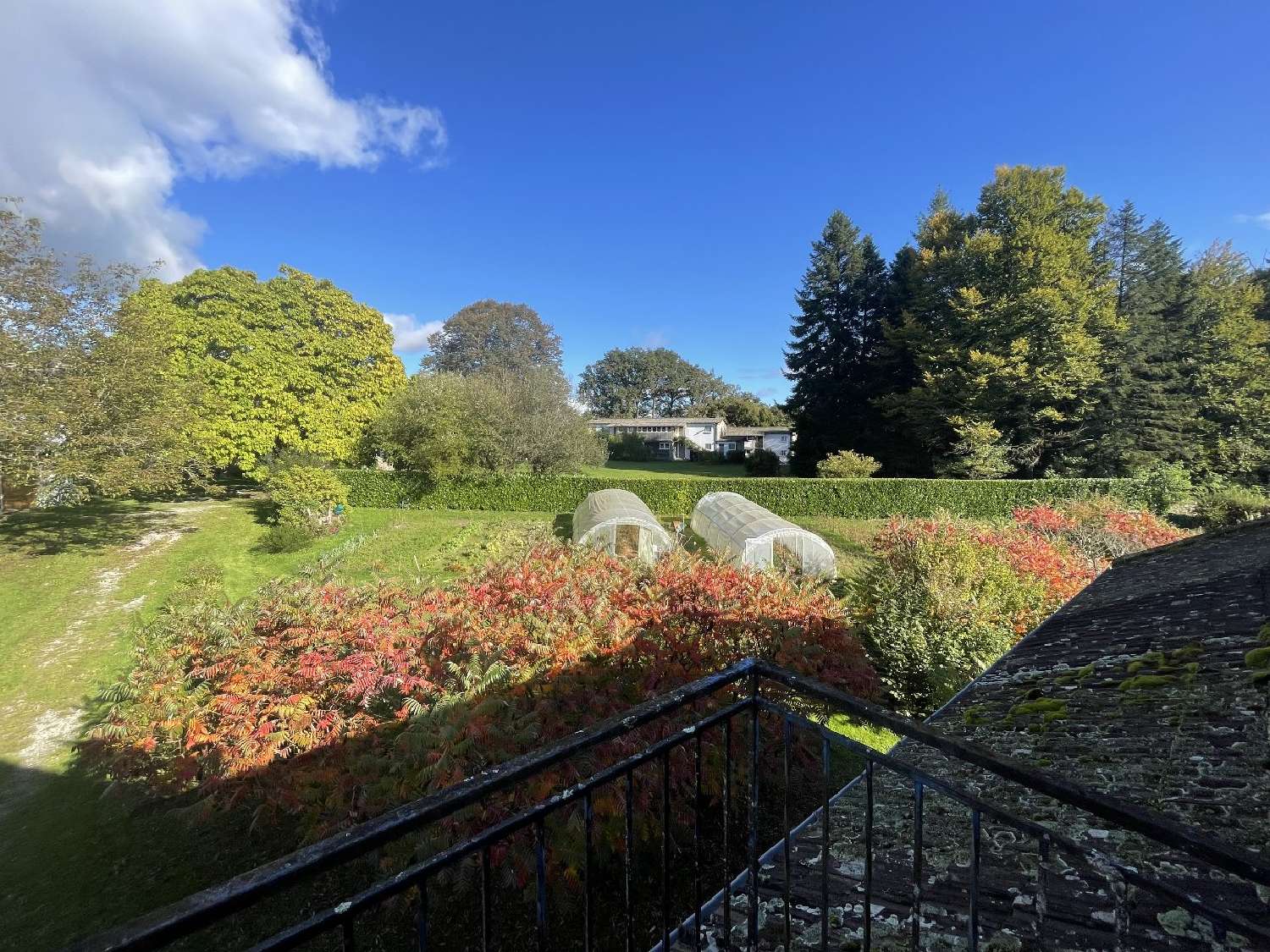  te koop huis Hautefage Corrèze 7