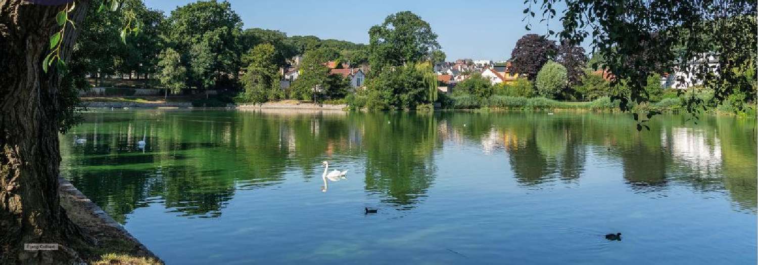  for sale house Houdan Yvelines 1