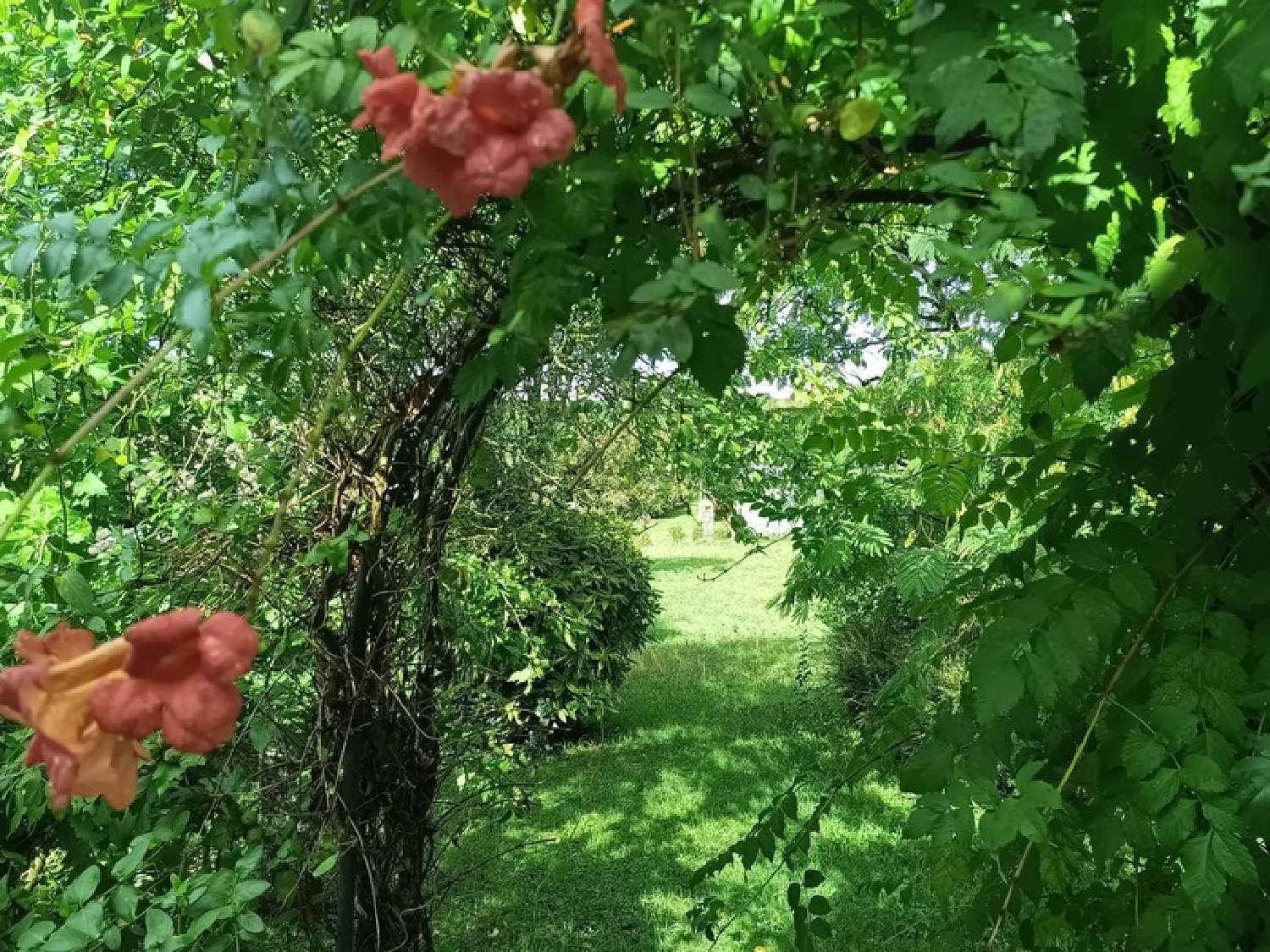 à vendre maison Hurigny Saône-et-Loire 7