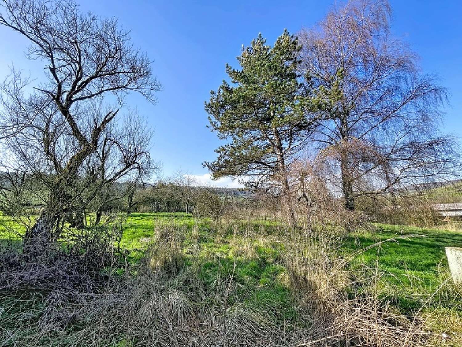 kaufen Haus Jailly-les-Moulins Côte-d'Or 5