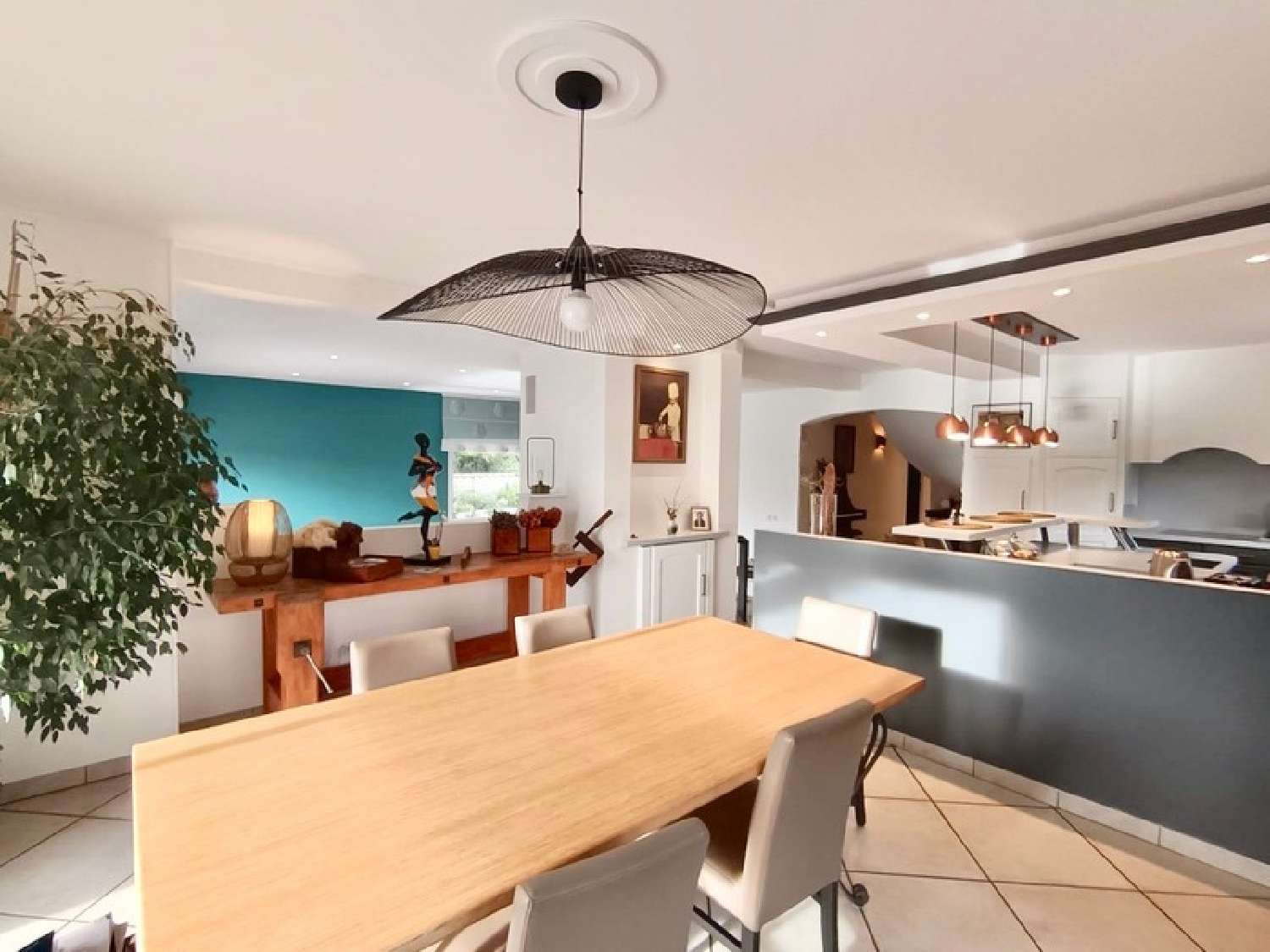  te koop huis Jarrie Isère 3