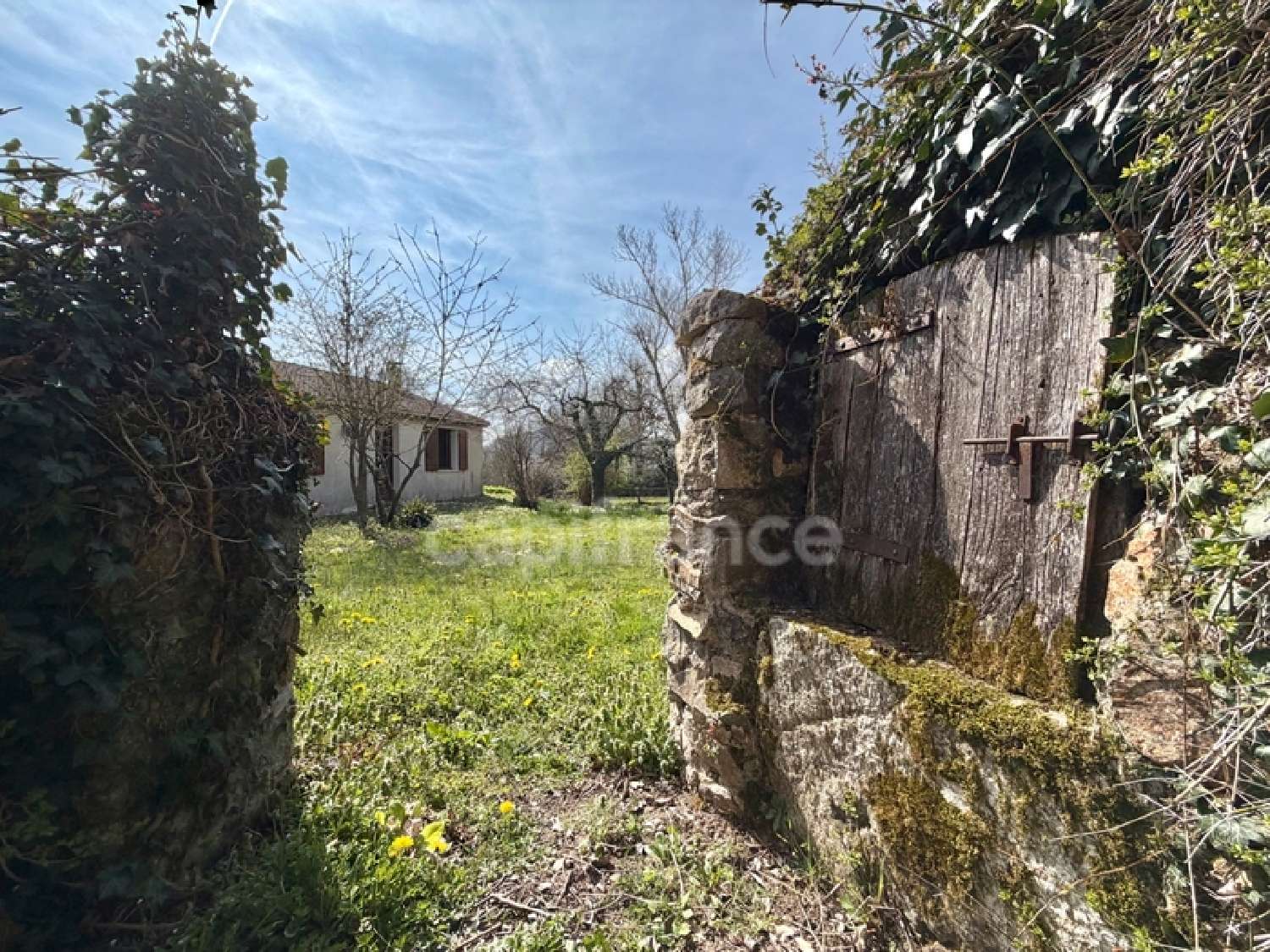 for sale house Juré Loire 6