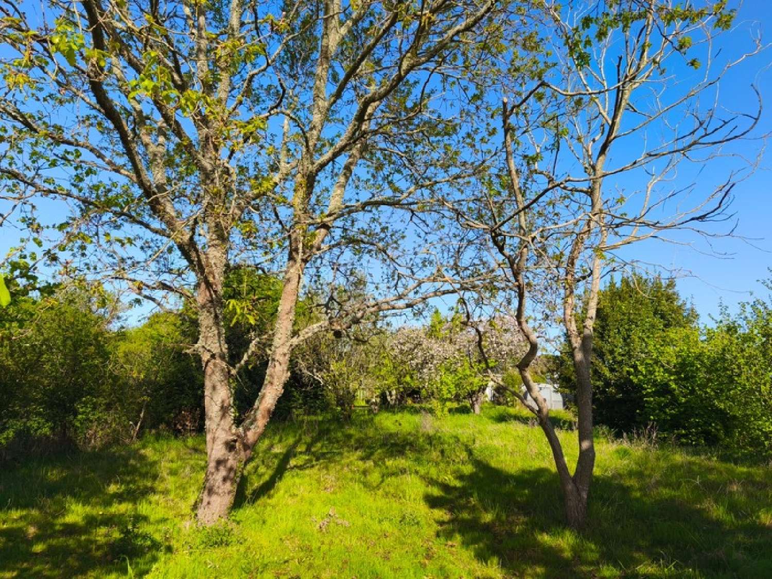 en venta casa La Baule-Escoublac Loire-Atlantique 8