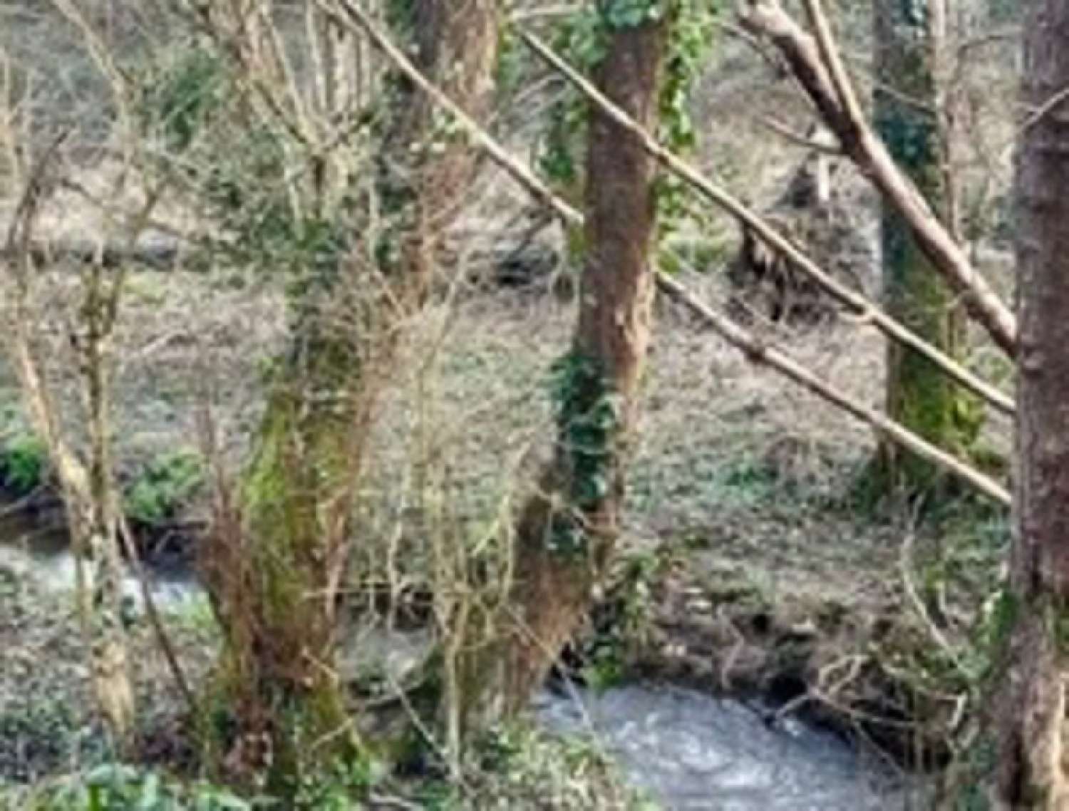  te koop huis La Roche-sur-Yon Vendée 2